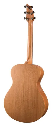 Breedlove USA Concert Cinnamon Burst