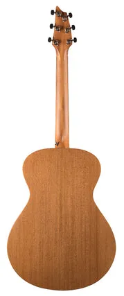 Breedlove USA Concert Cinnamon Burst