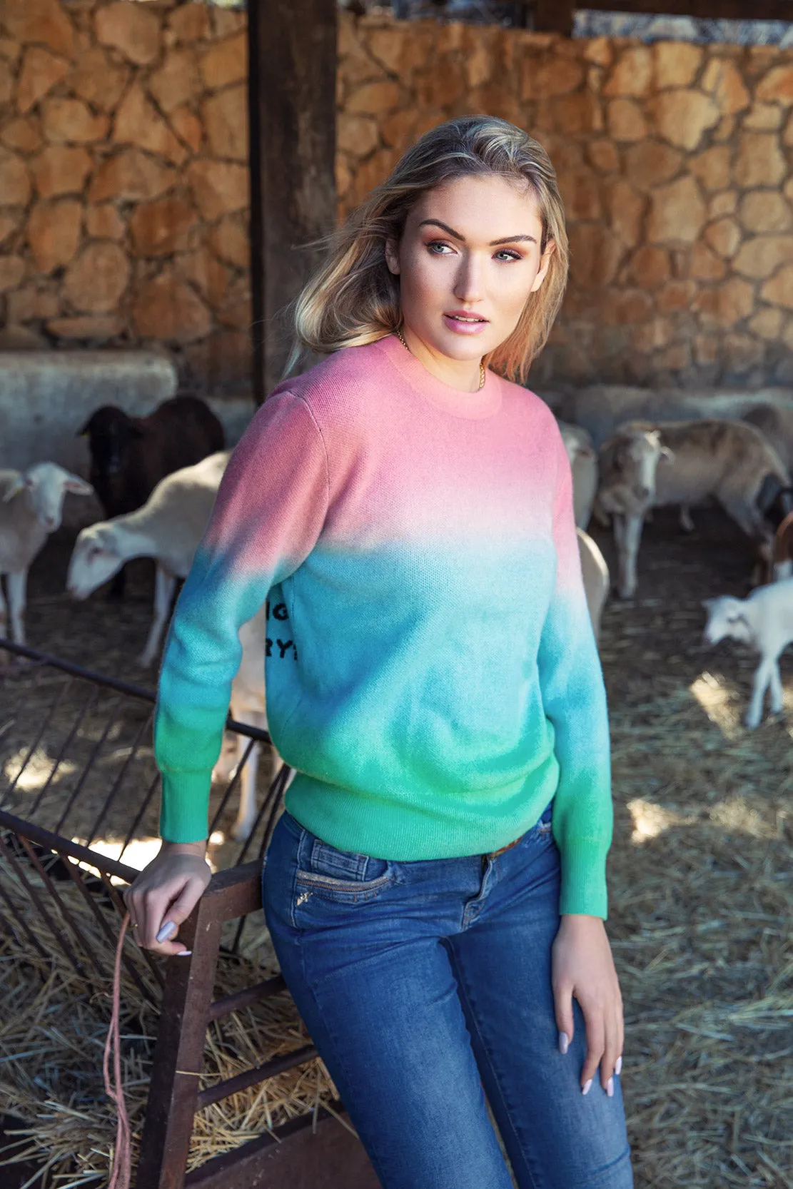 Cashmere Ombre Crewneck Think Sweater