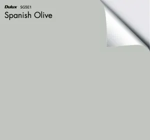 Dulux Spanish Olive