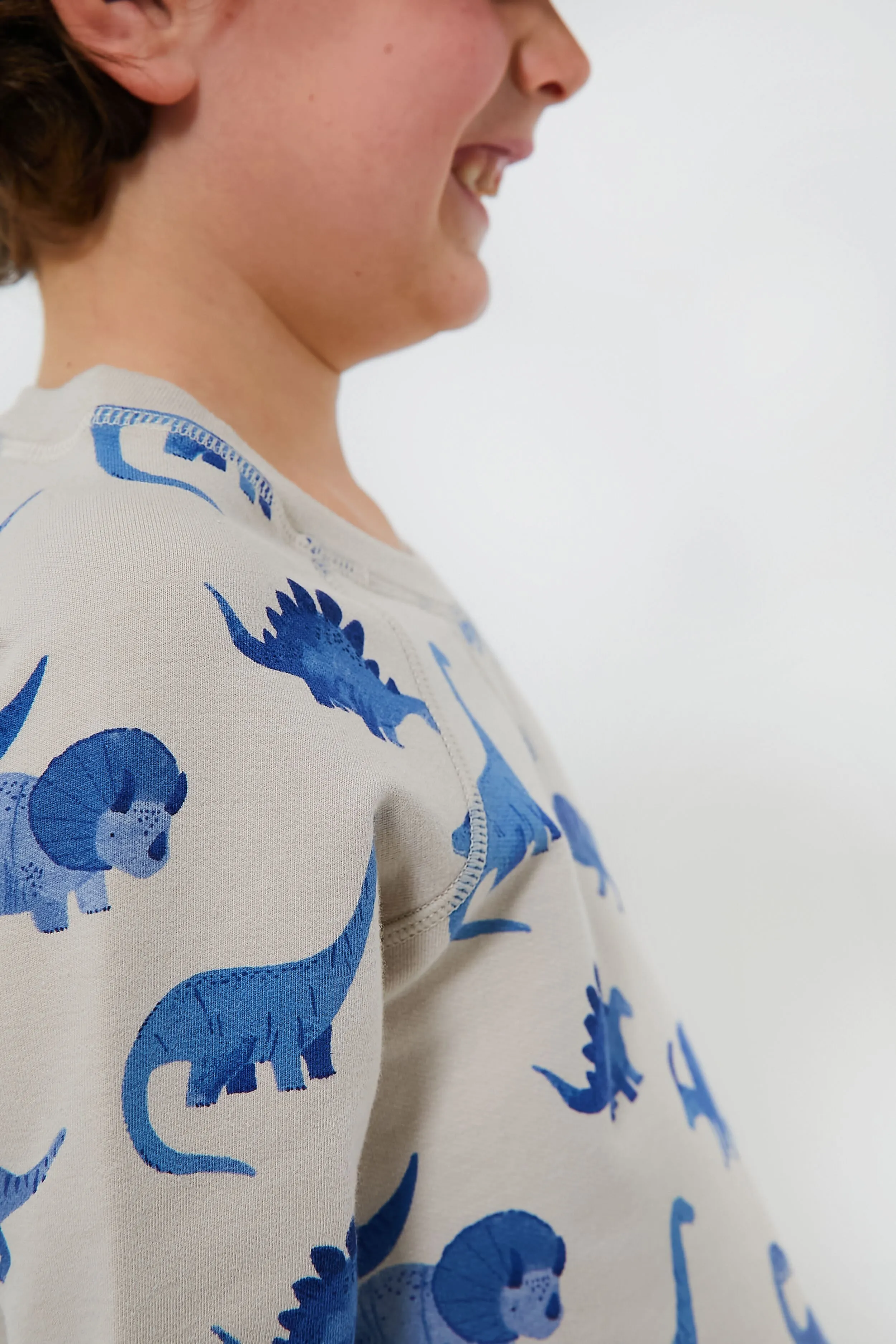 French Terry Dinos Raglan Sweatshirt and Jogger Set