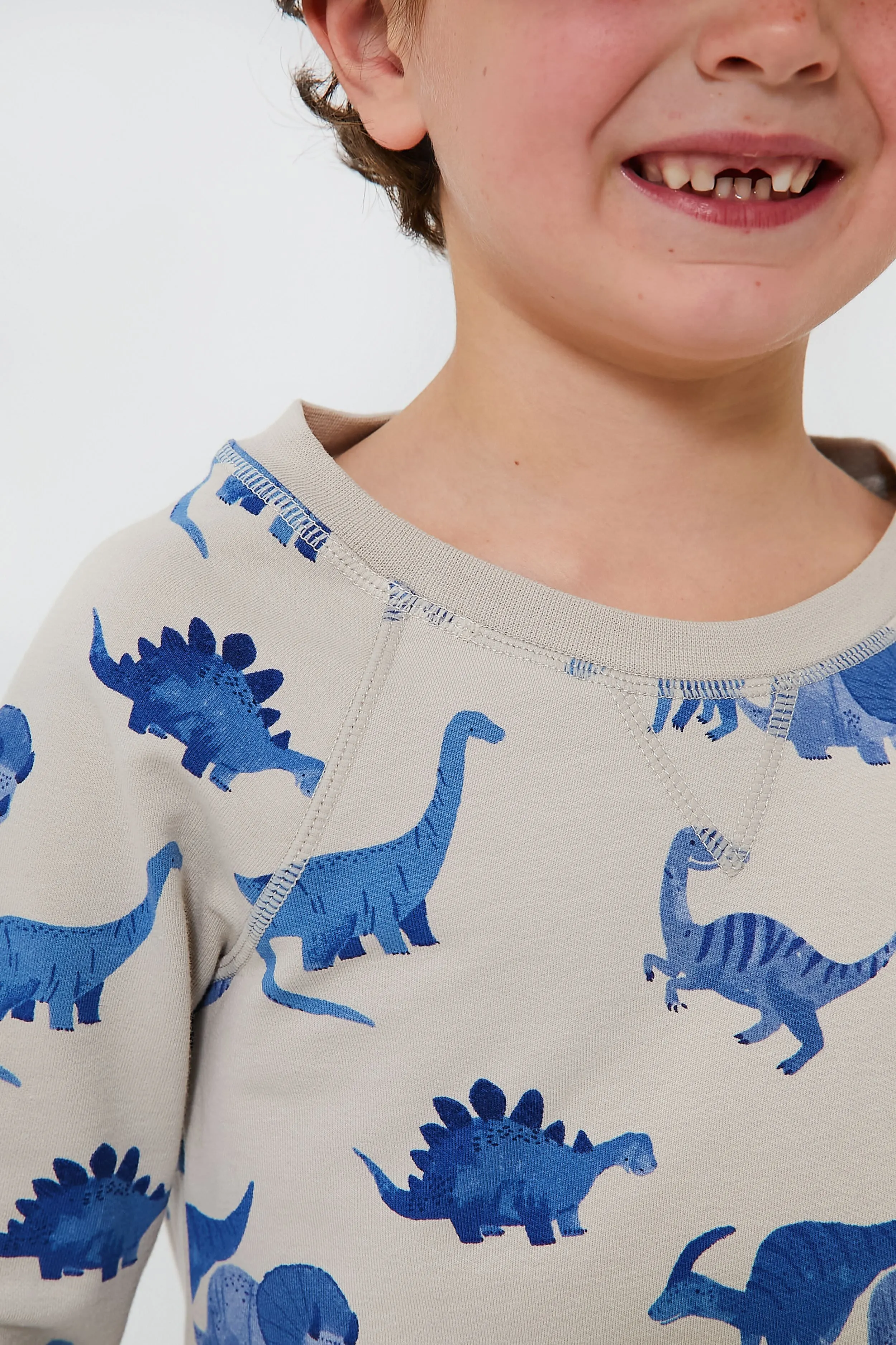 French Terry Dinos Raglan Sweatshirt and Jogger Set