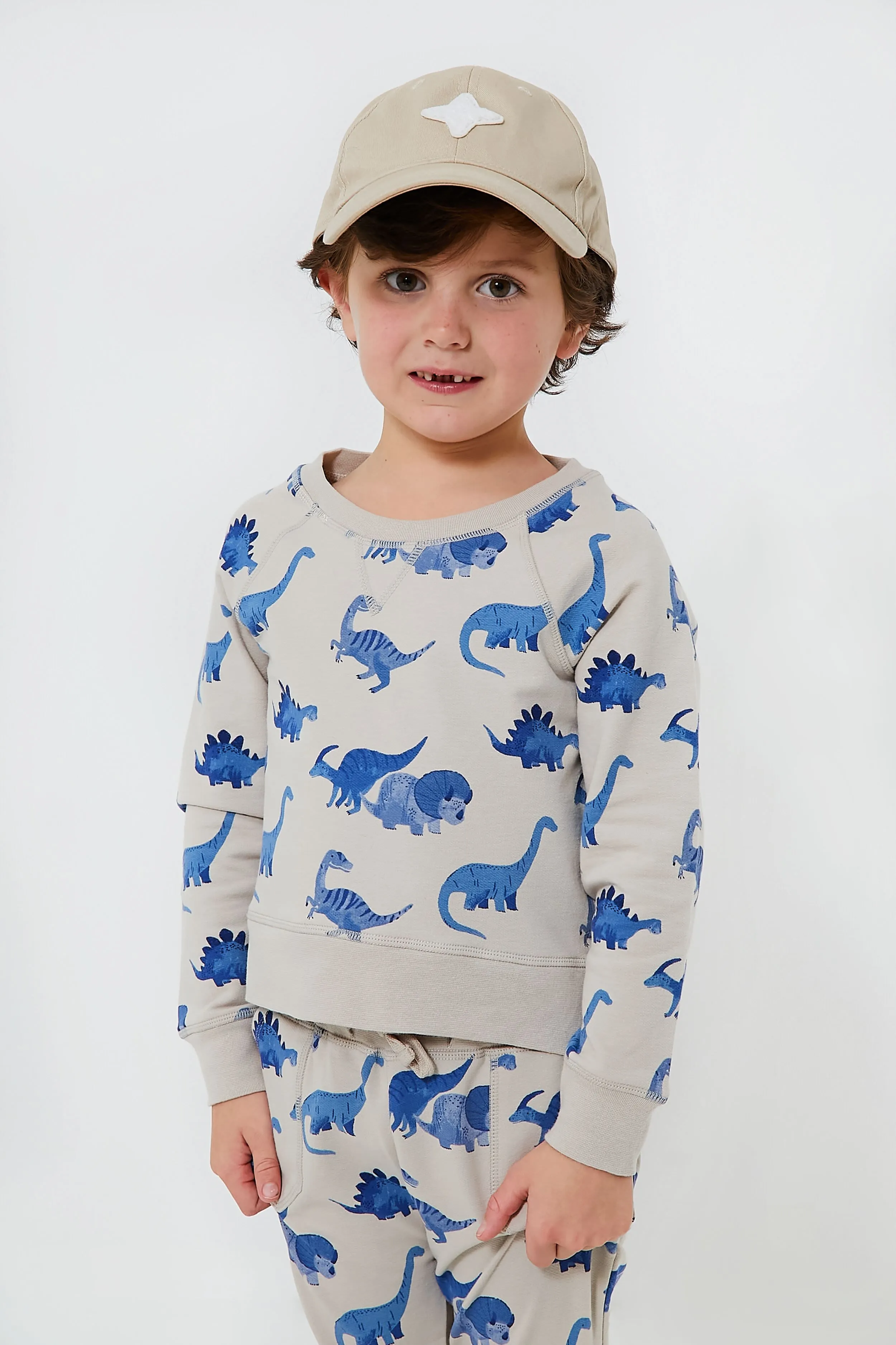 French Terry Dinos Raglan Sweatshirt and Jogger Set