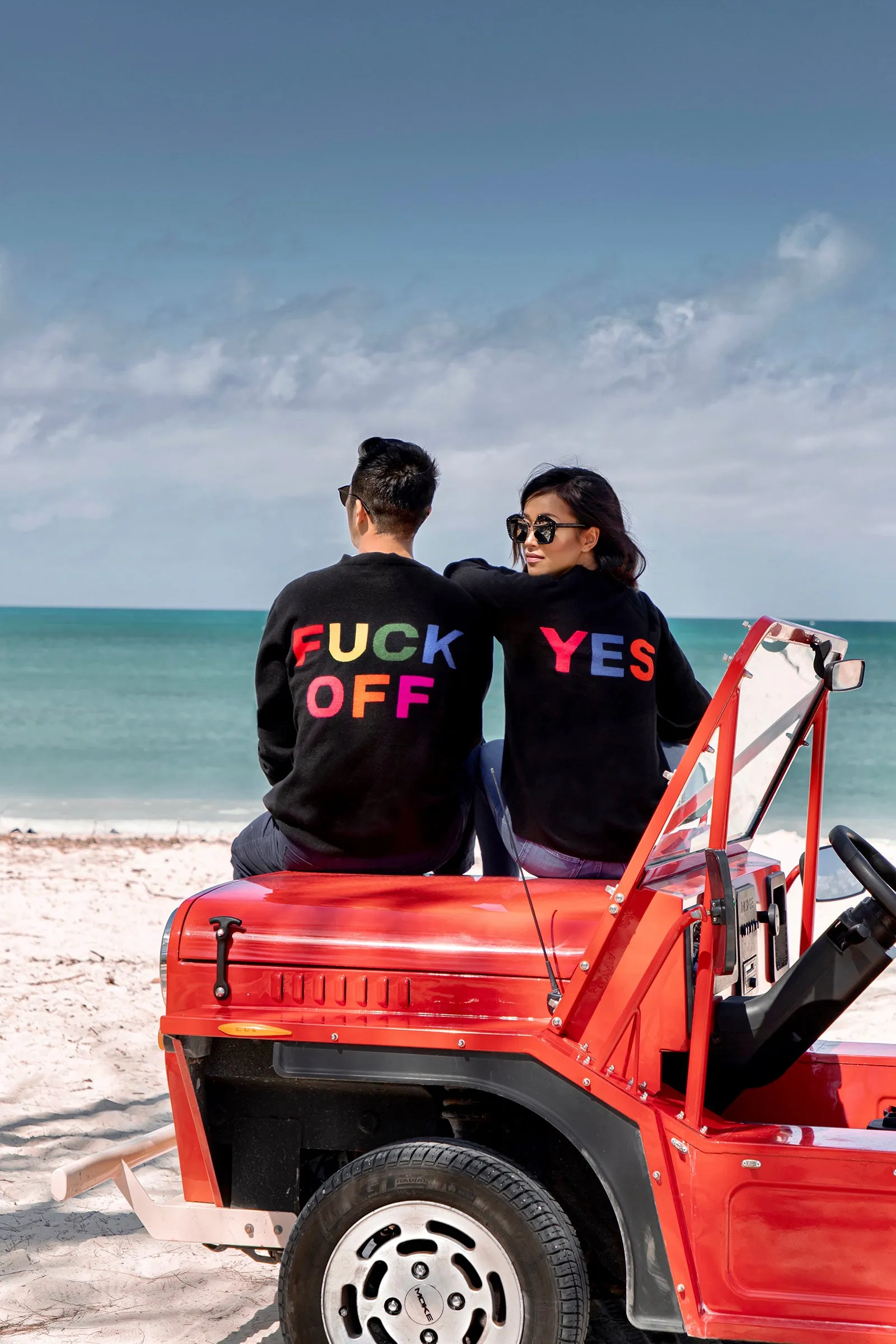 Fuck Off Cashmere Sweater (Men)
