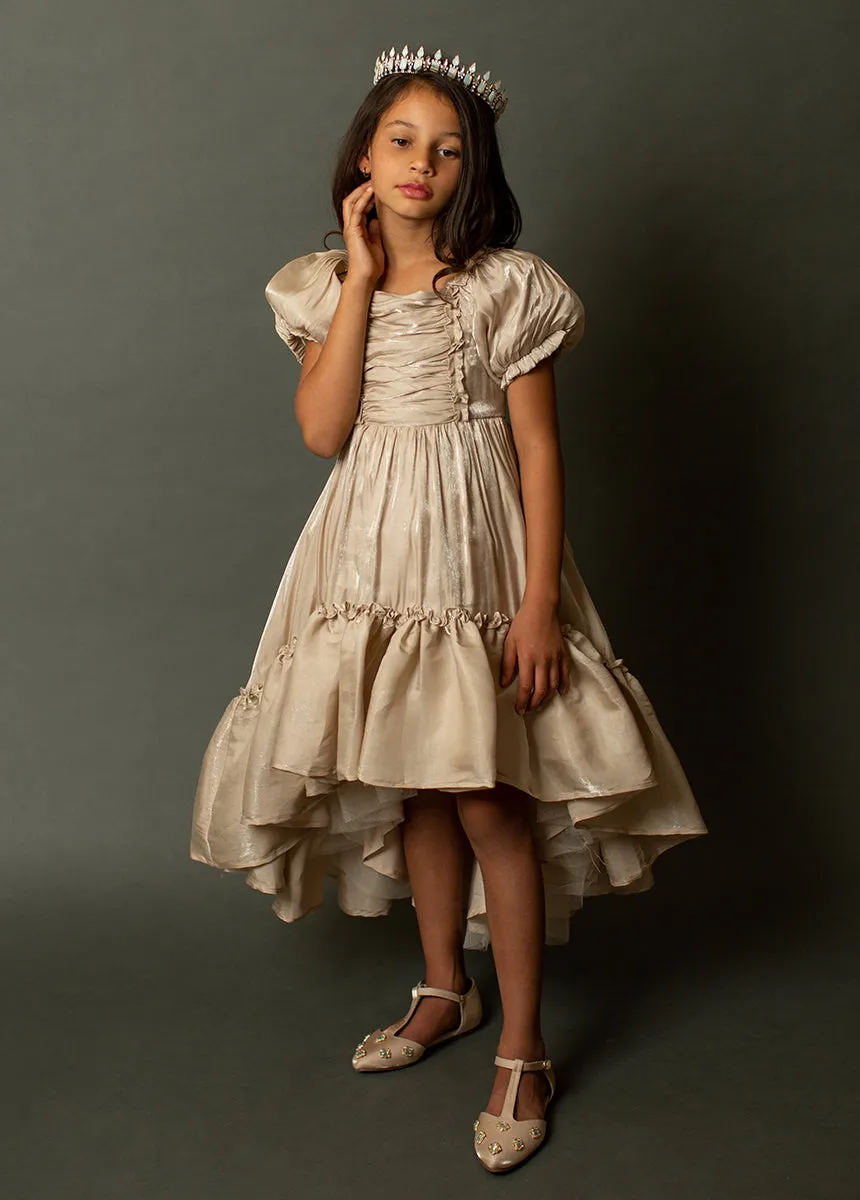 Mathilda Petticoat Dress in Champagne Iridescent