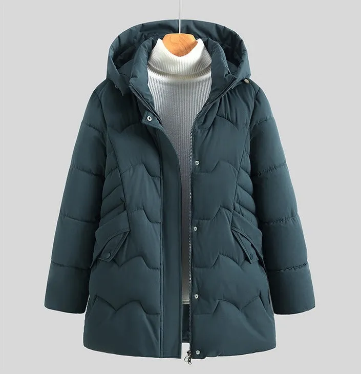 Stylish Hip-Length Zip-Up Padded Puffer Jacket for Women