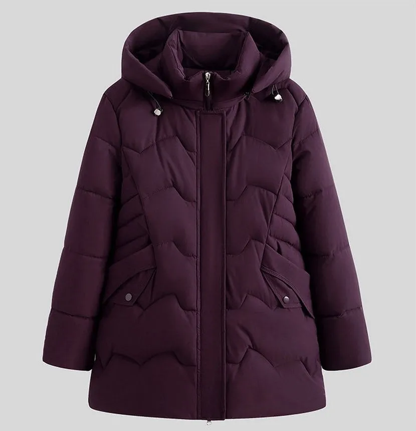 Stylish Hip-Length Zip-Up Padded Puffer Jacket for Women