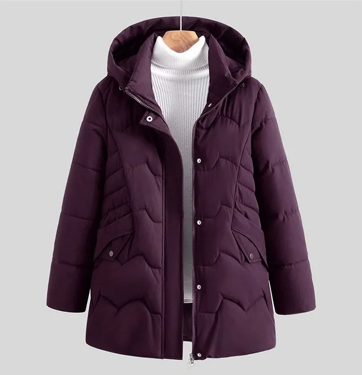 Stylish Hip-Length Zip-Up Padded Puffer Jacket for Women